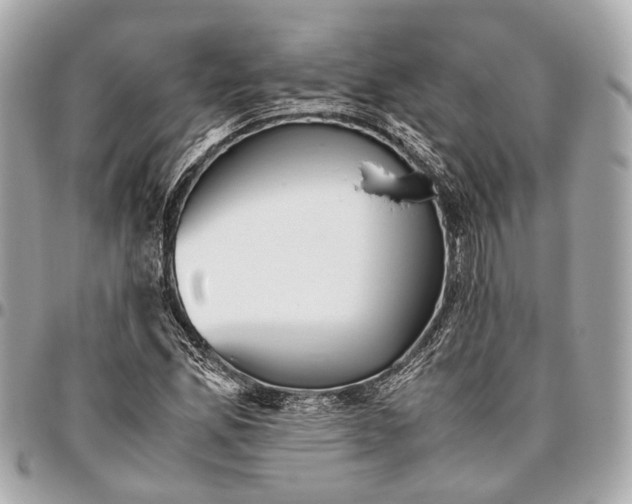 X0000096461165200802071827