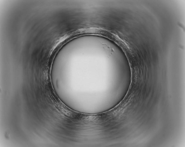 X0000096461166200802071827