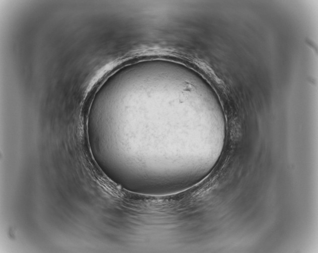 X0000096461167200802071827