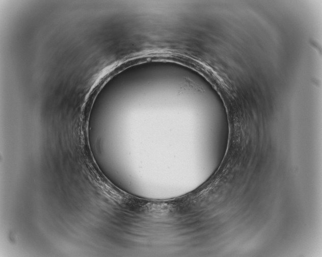 X0000096461168200802071827
