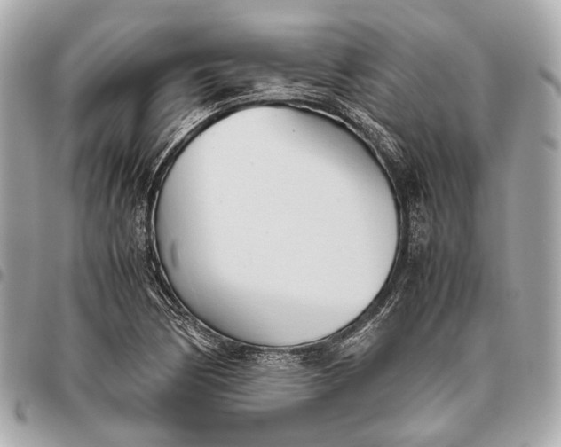 X0000096461170200802071827