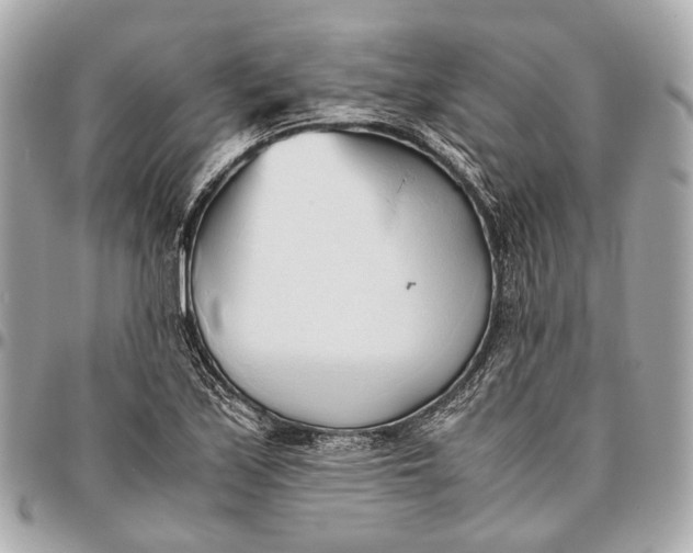 X0000096461171200802071827