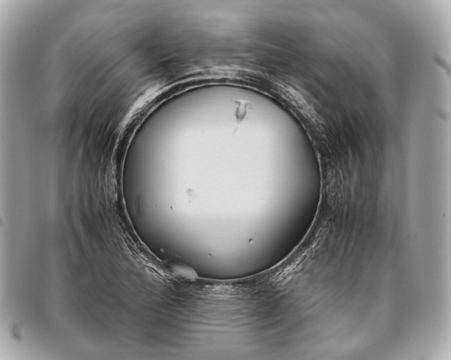 X0000096461172200802071827
