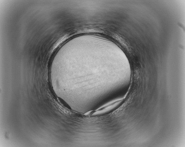 X0000096461173200802071827