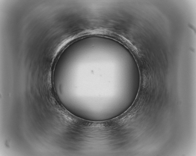 X0000096461174200802071827