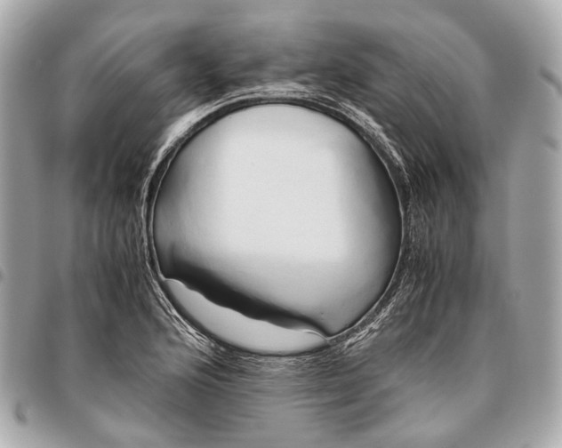 X0000096461176200802071827