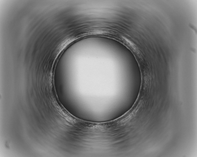 X0000096461178200802071827