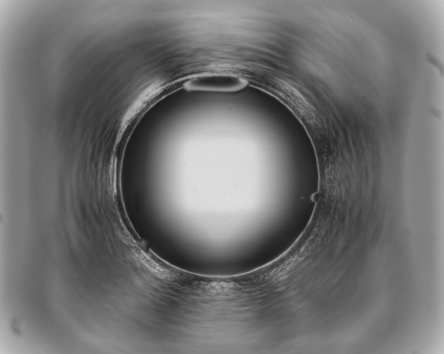 X0000096461180200802071827