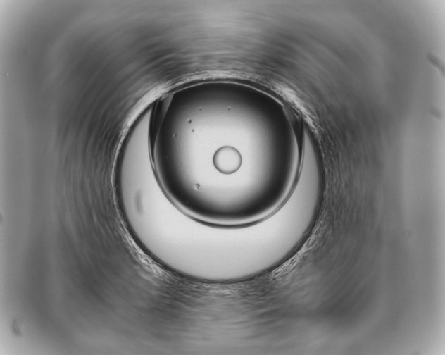 X0000096461181200802071827