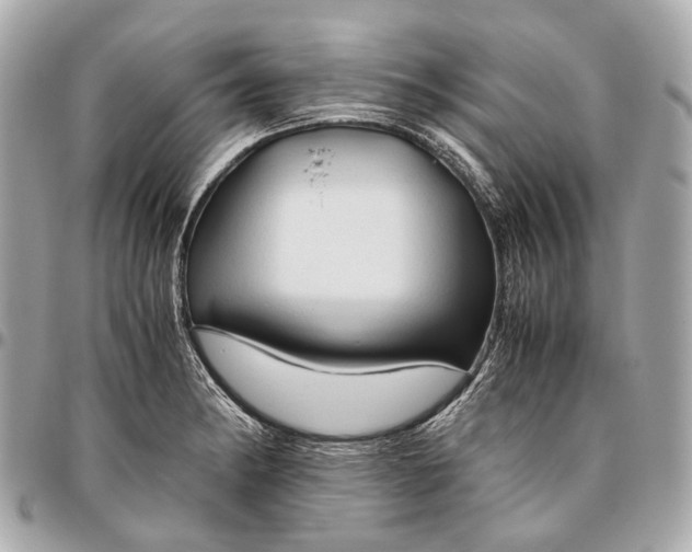 X0000096461182200802071827