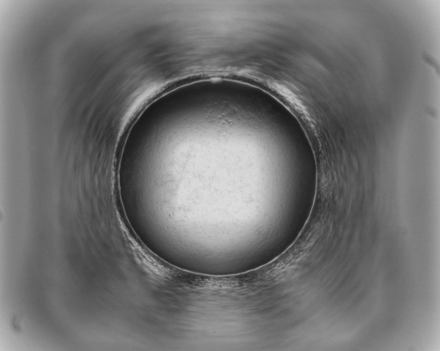 X0000096461183200802071827