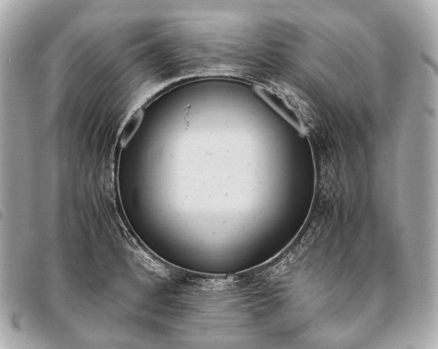 X0000096461184200802071827