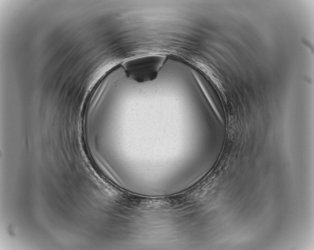 X0000096461187200802071827