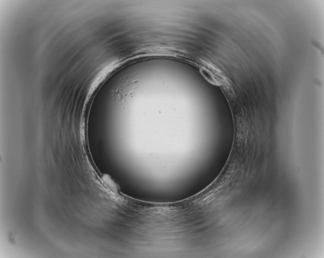 X0000096461188200802071827
