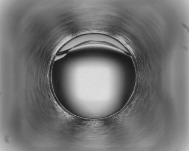 X0000096461189200802071827