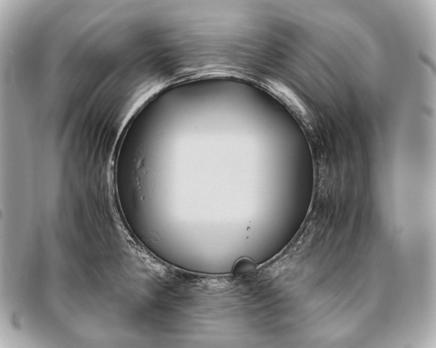 X0000096461190200802071827
