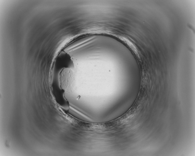 X0000096461191200802071827