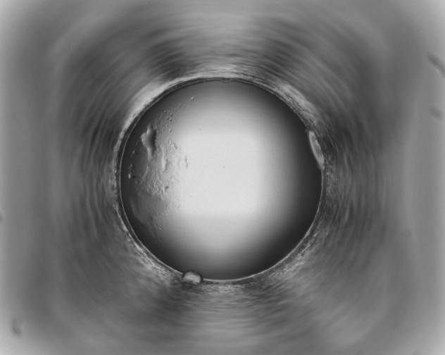 X0000096461192200802071827