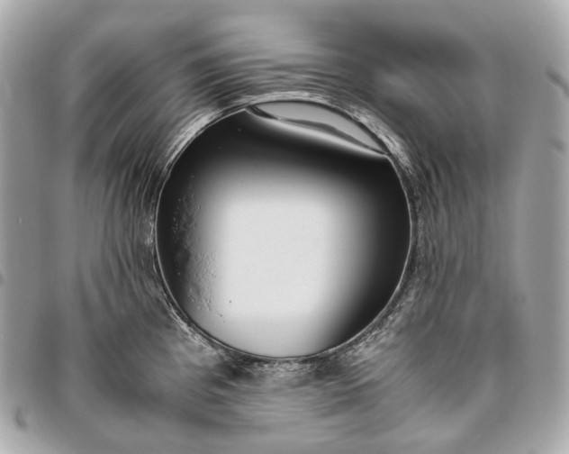 X0000096461193200802071827