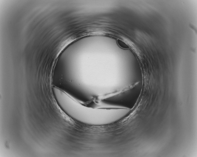 X0000096461194200802071827