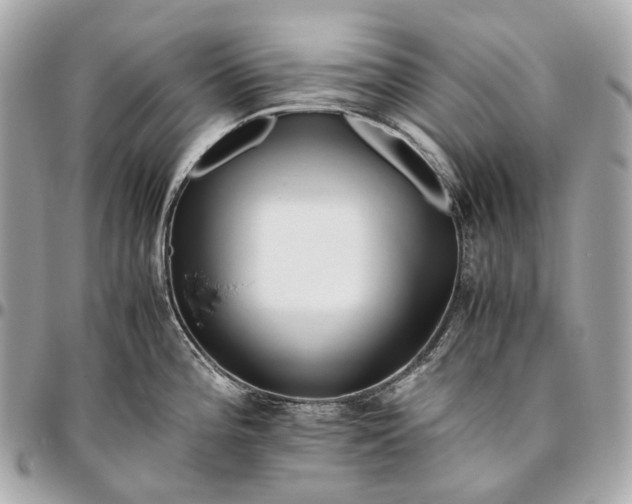 X0000096461196200802071827
