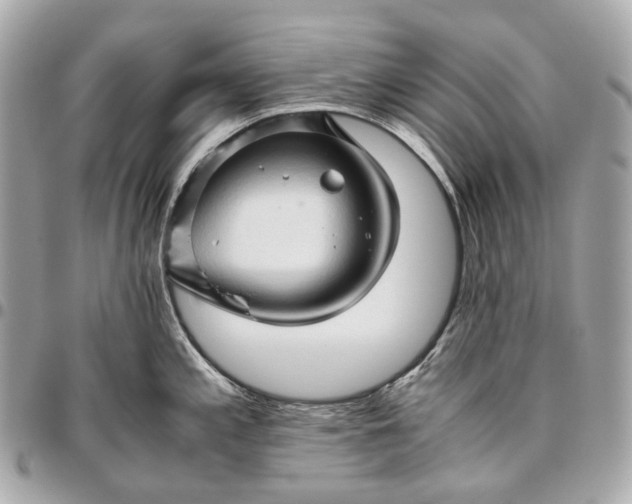 X0000096461197200802071827