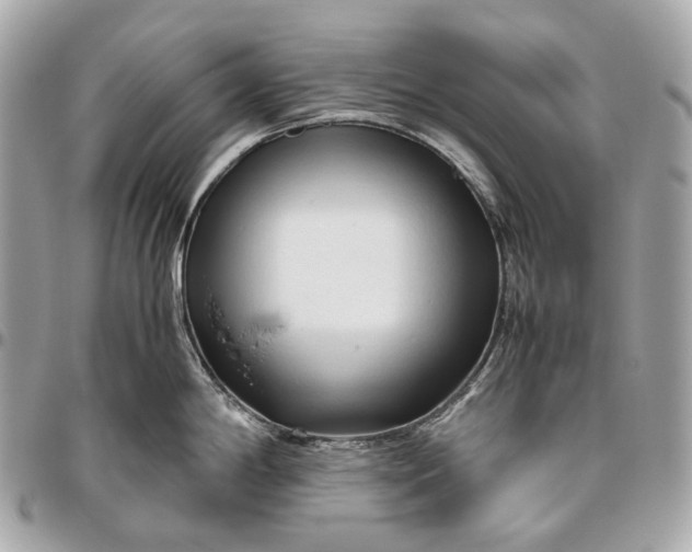 X0000096461198200802071827