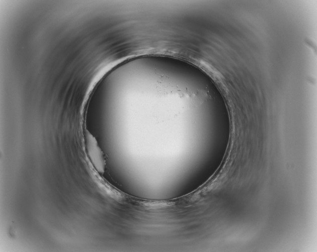 X0000096461200200802071827