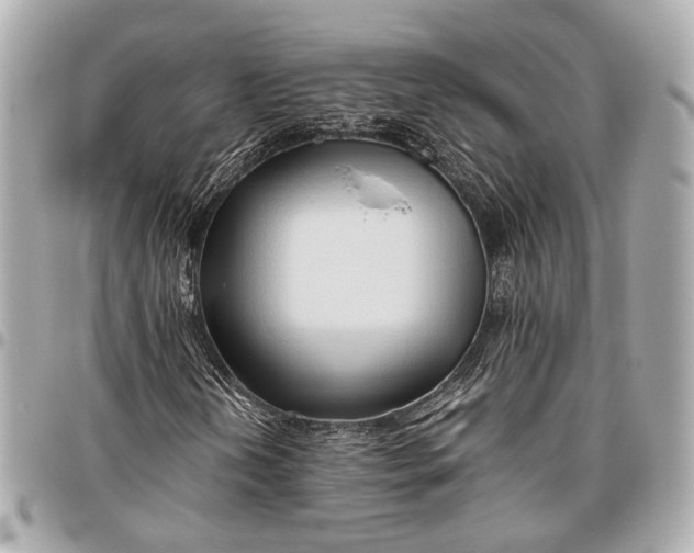 X0000096461202200802071826