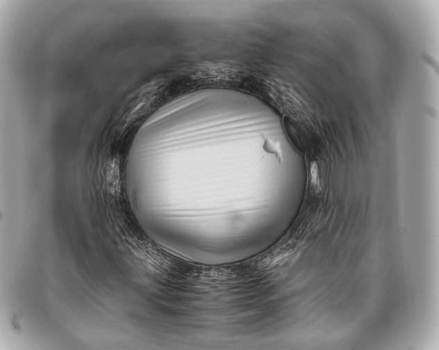 X0000096461203200802071826