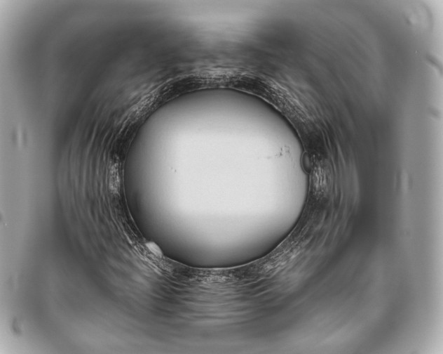X0000096461204200802071826