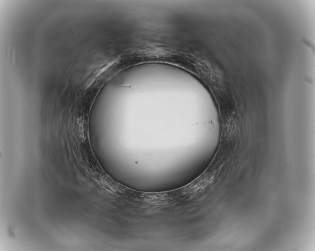 X0000096461205200802071826