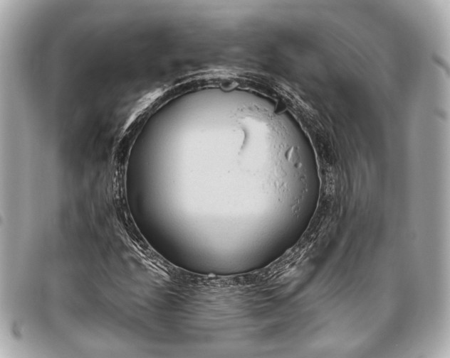 X0000096461208200802071826