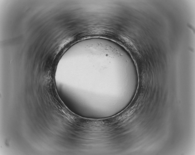 X0000096461210200802071826