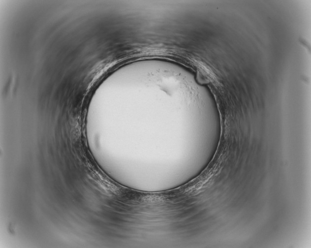 X0000096461212200802071826