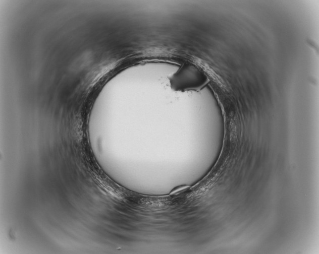 X0000096461213200802071826