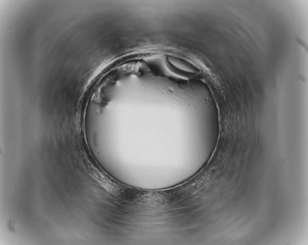 X0000096461216200802071826