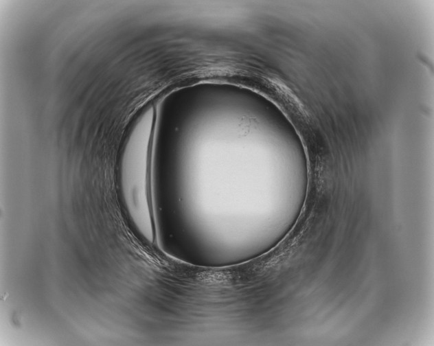X0000096461217200802071826