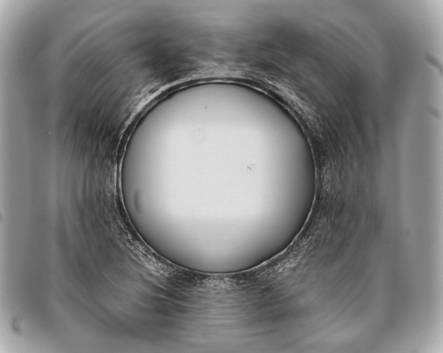 X0000096461220200802071826