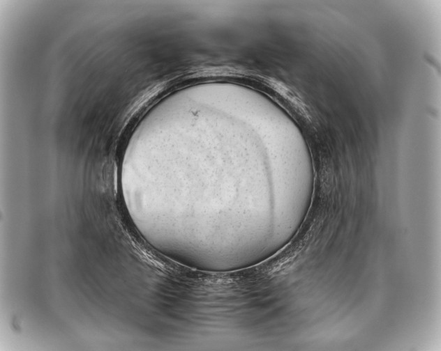 X0000096461221200802071826