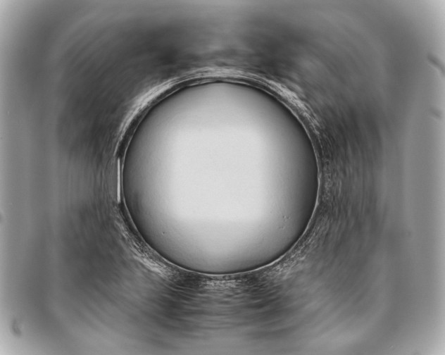 X0000096461223200802071826