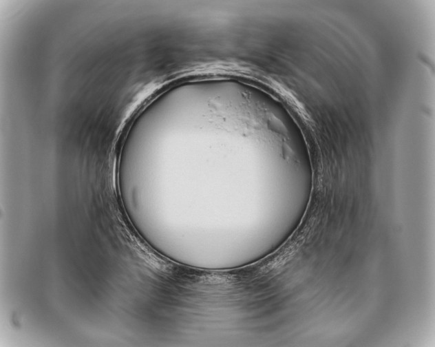 X0000096461224200802071827
