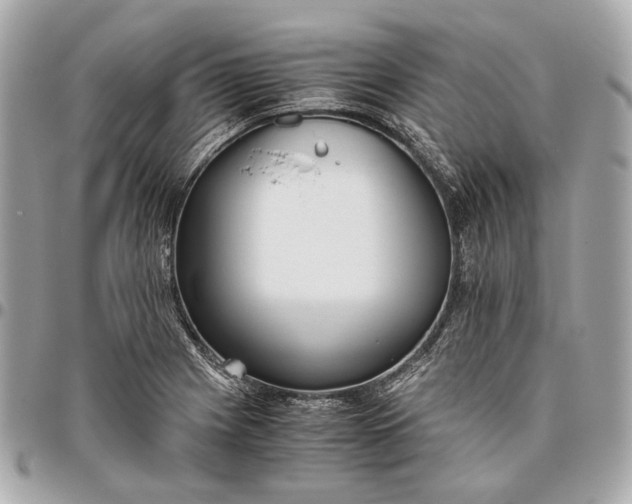 X0000096461225200802071827