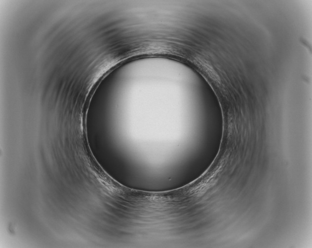 X0000096461226200802071827