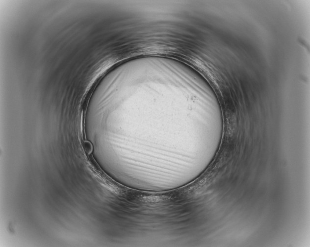 X0000096461227200802071827