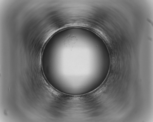 X0000096461228200802071827