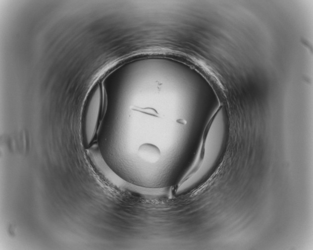 X0000096461229200802071827