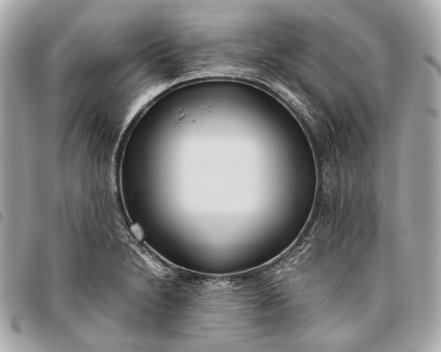 X0000096461230200802071827