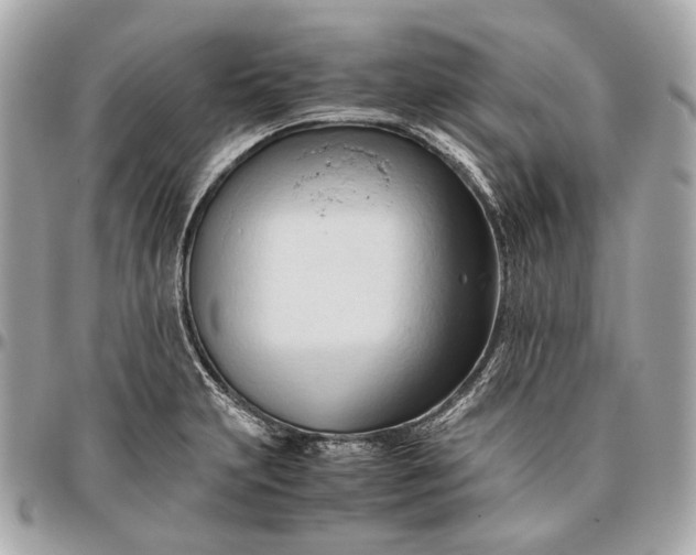 X0000096461231200802071827