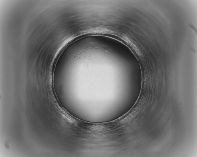 X0000096461232200802071827